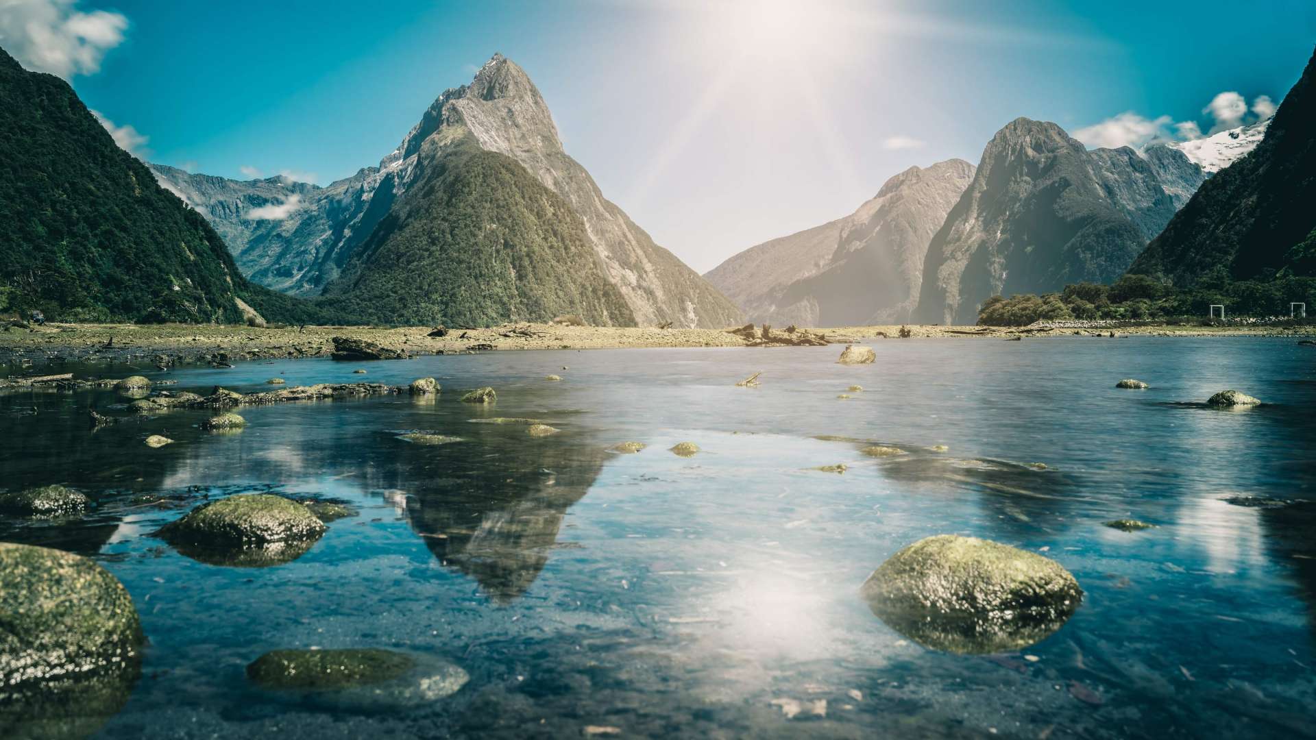 Milford Sound Cruise