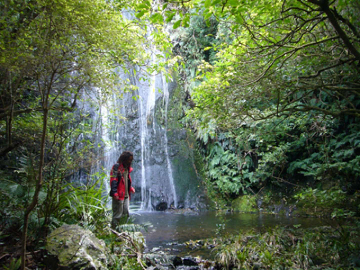 Natural Waterfalls and Bush Akaroa New Zealand