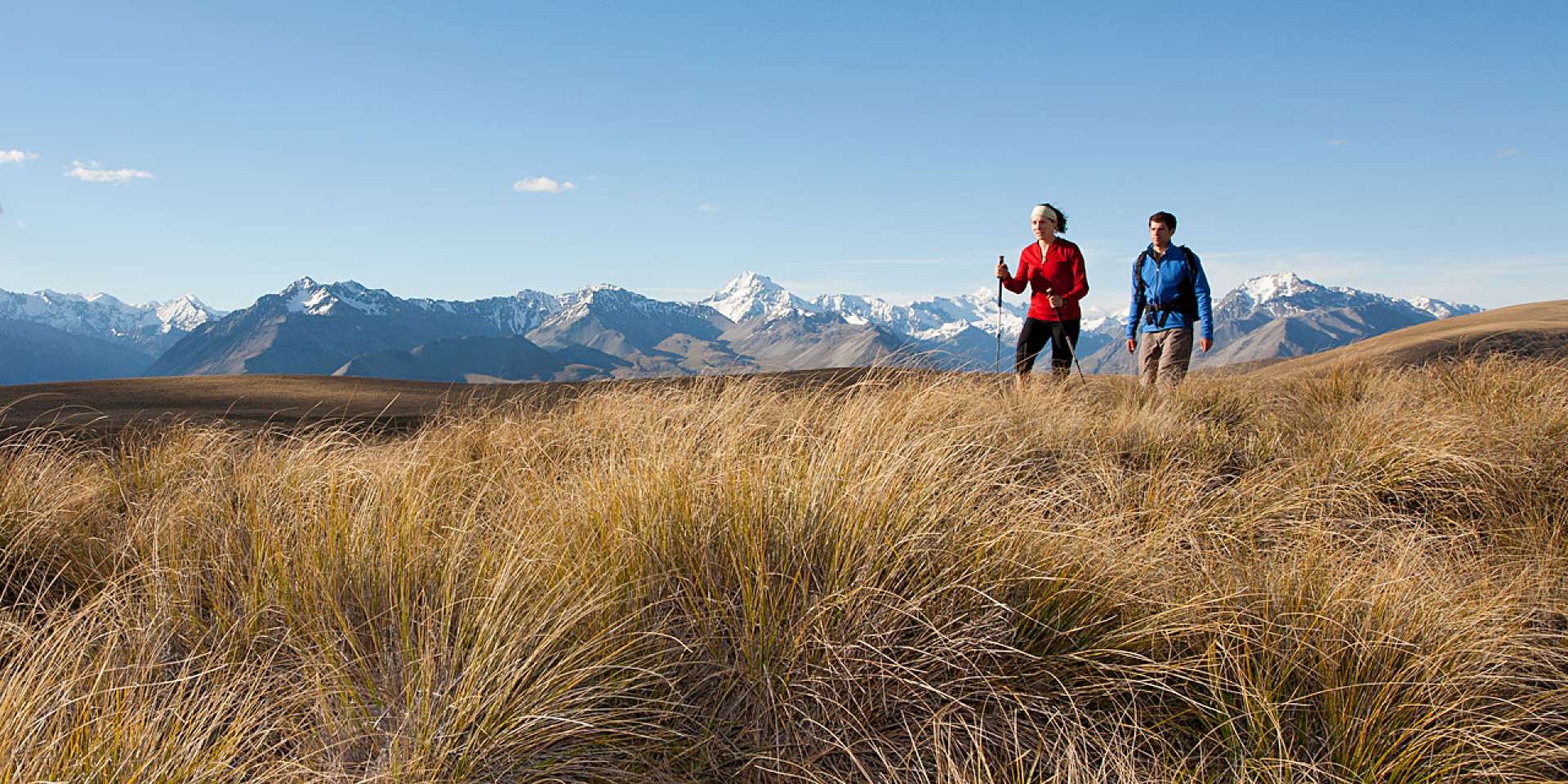 On Snake Ridge