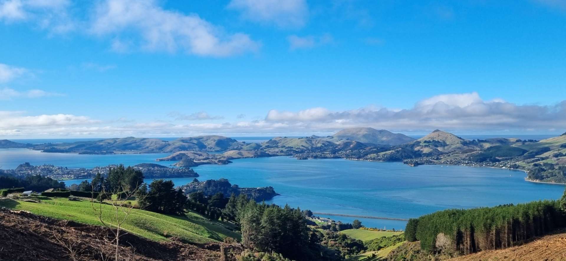 Otago Harbour Mt Cargill View