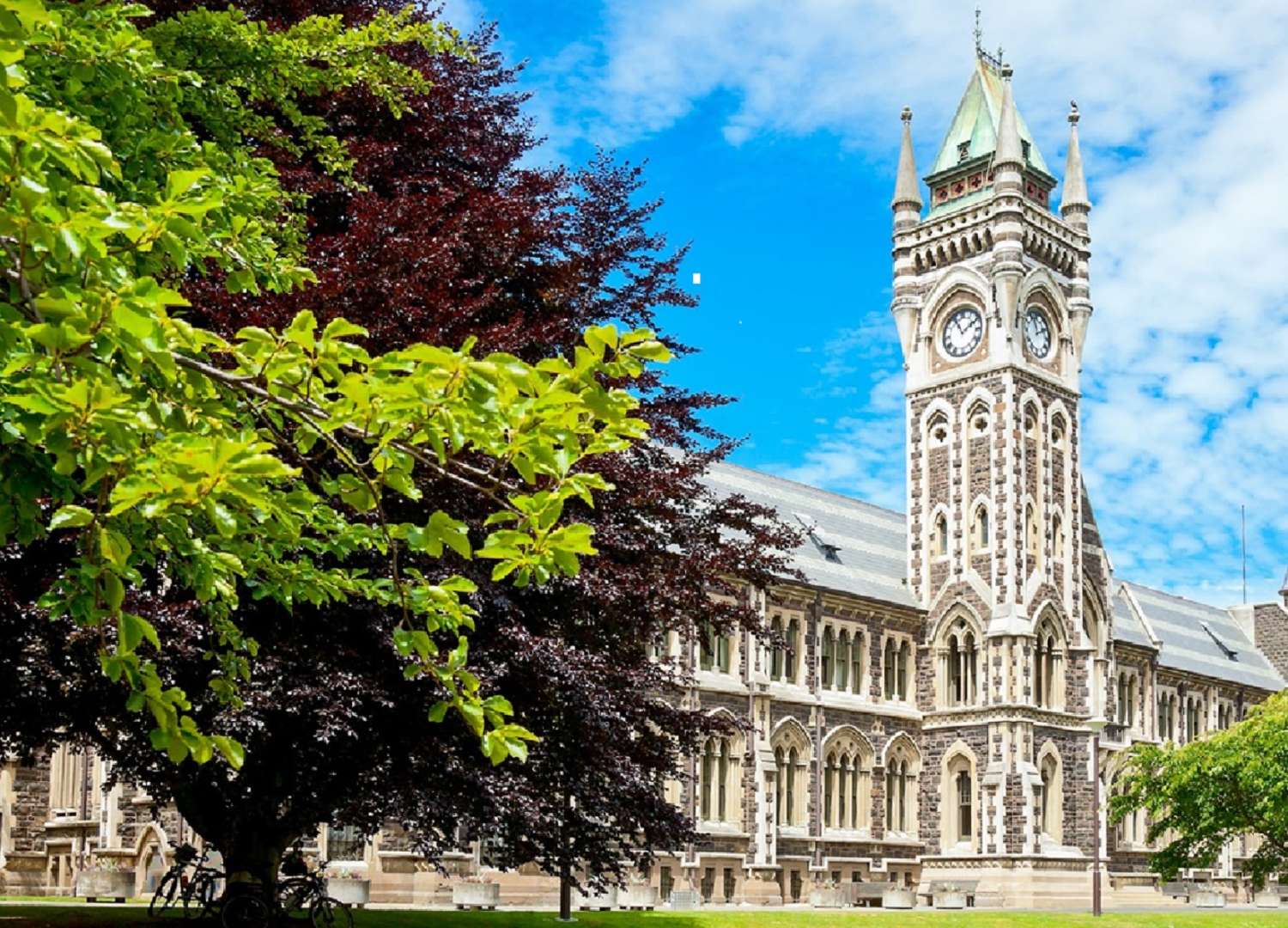 Otago University