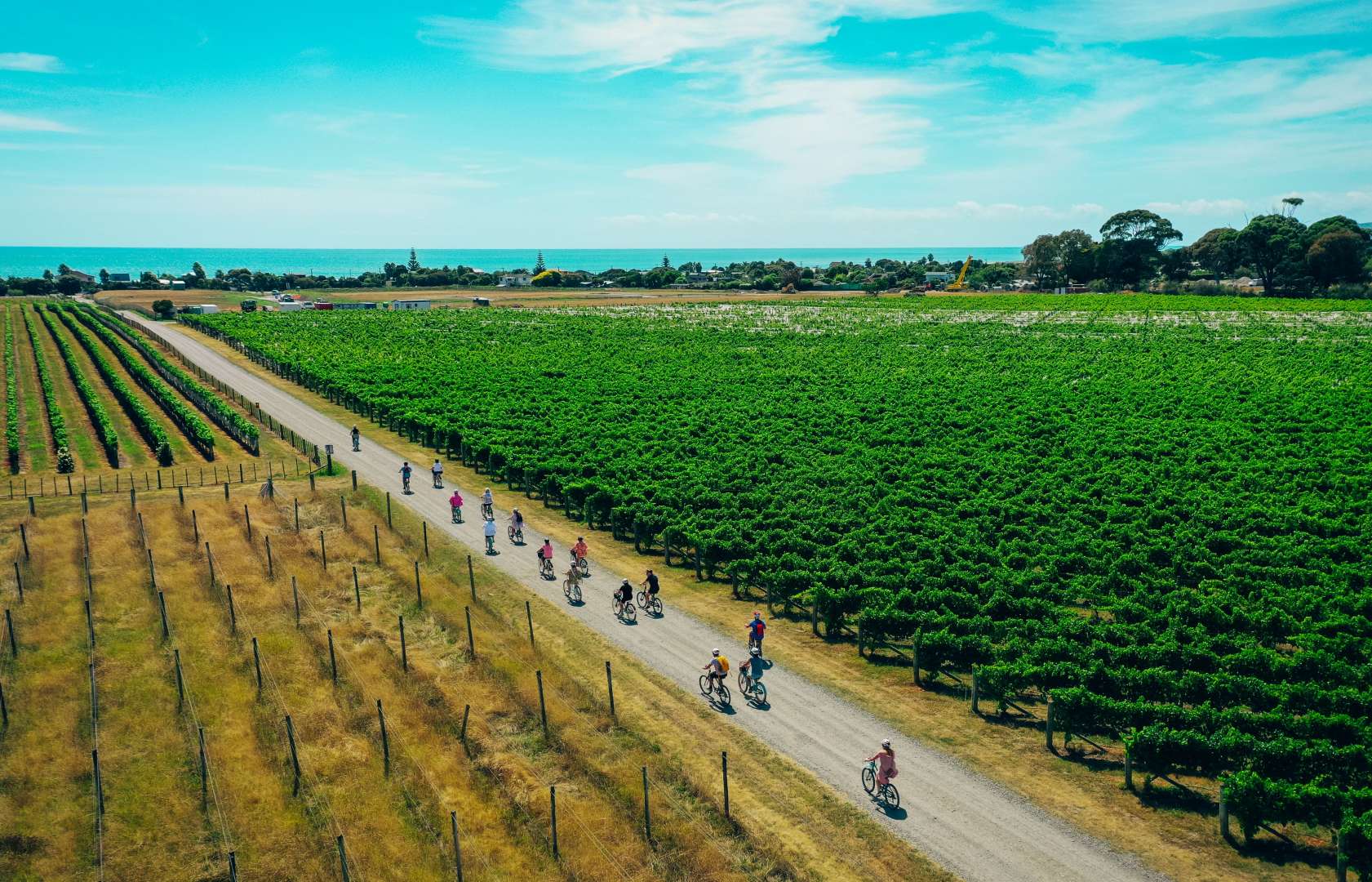 Te Awanga Estate