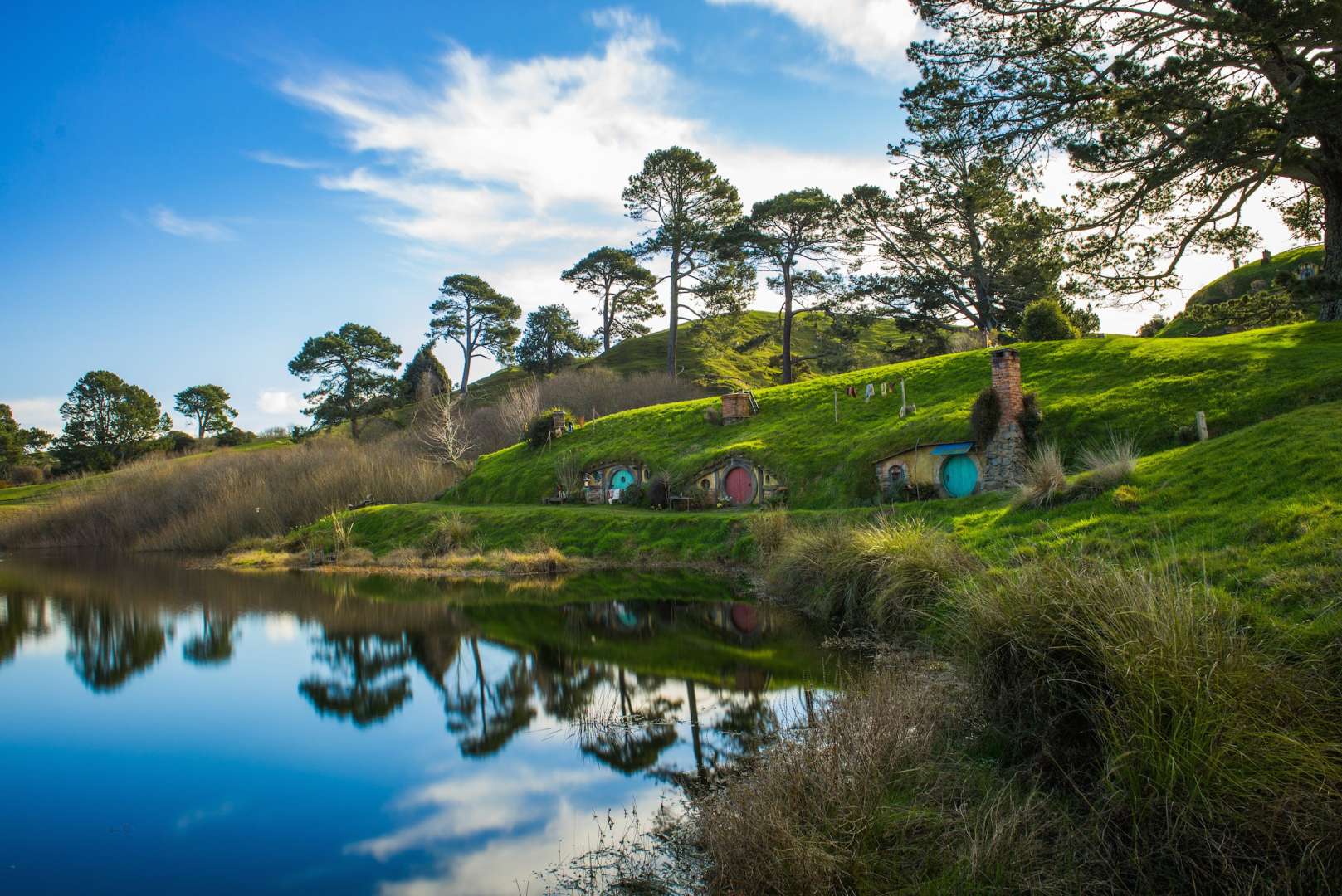 Tour of Hobbiton from Auckland