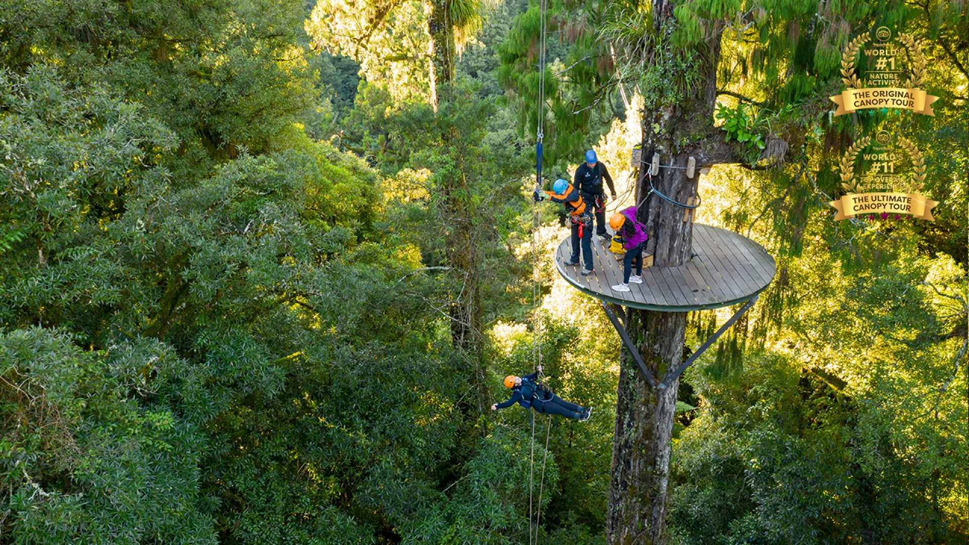 Ultimate Canopy Tour controlled descent