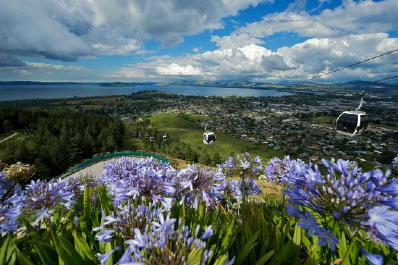 View from Volcanic Hills