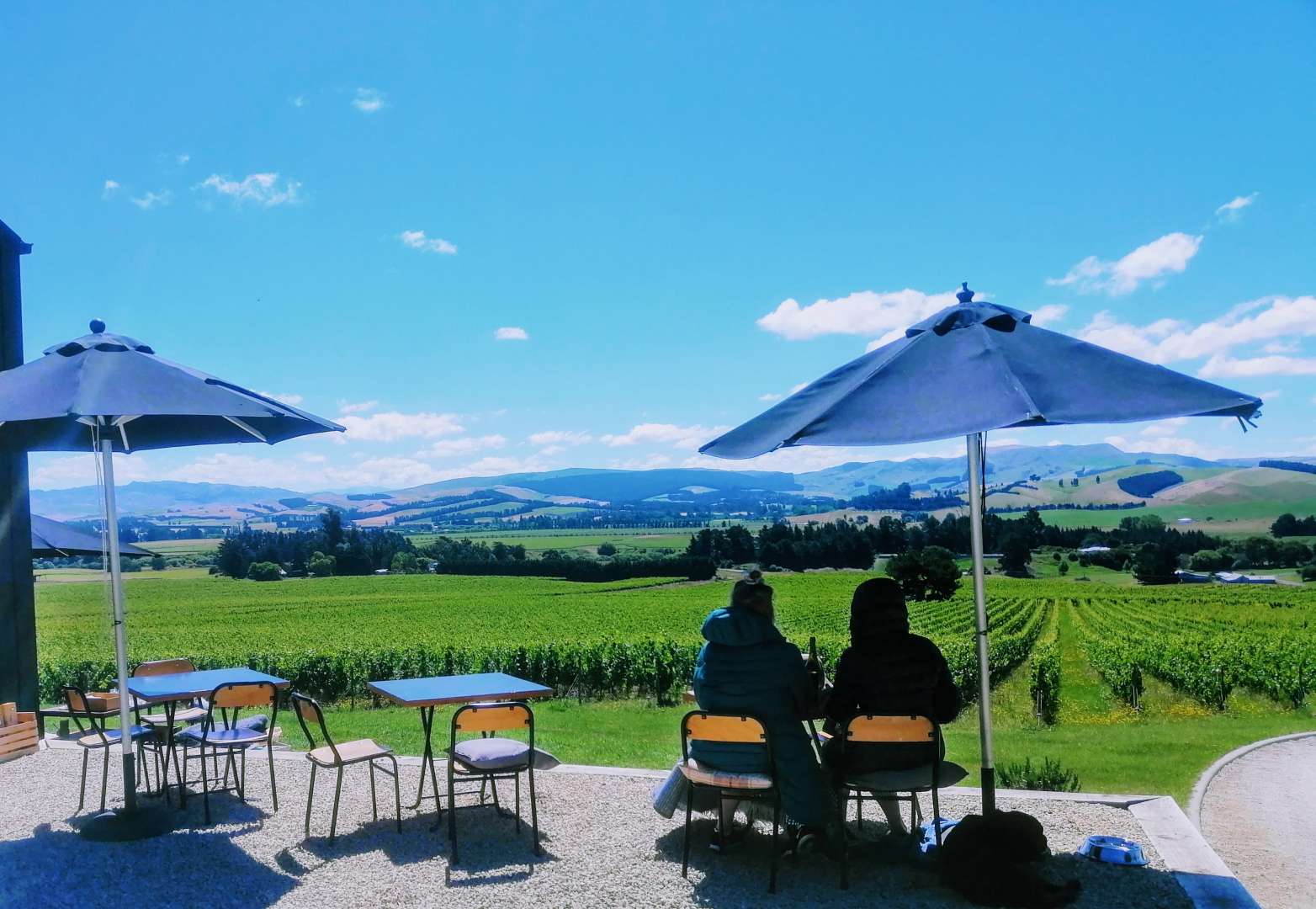 Waipara Winery