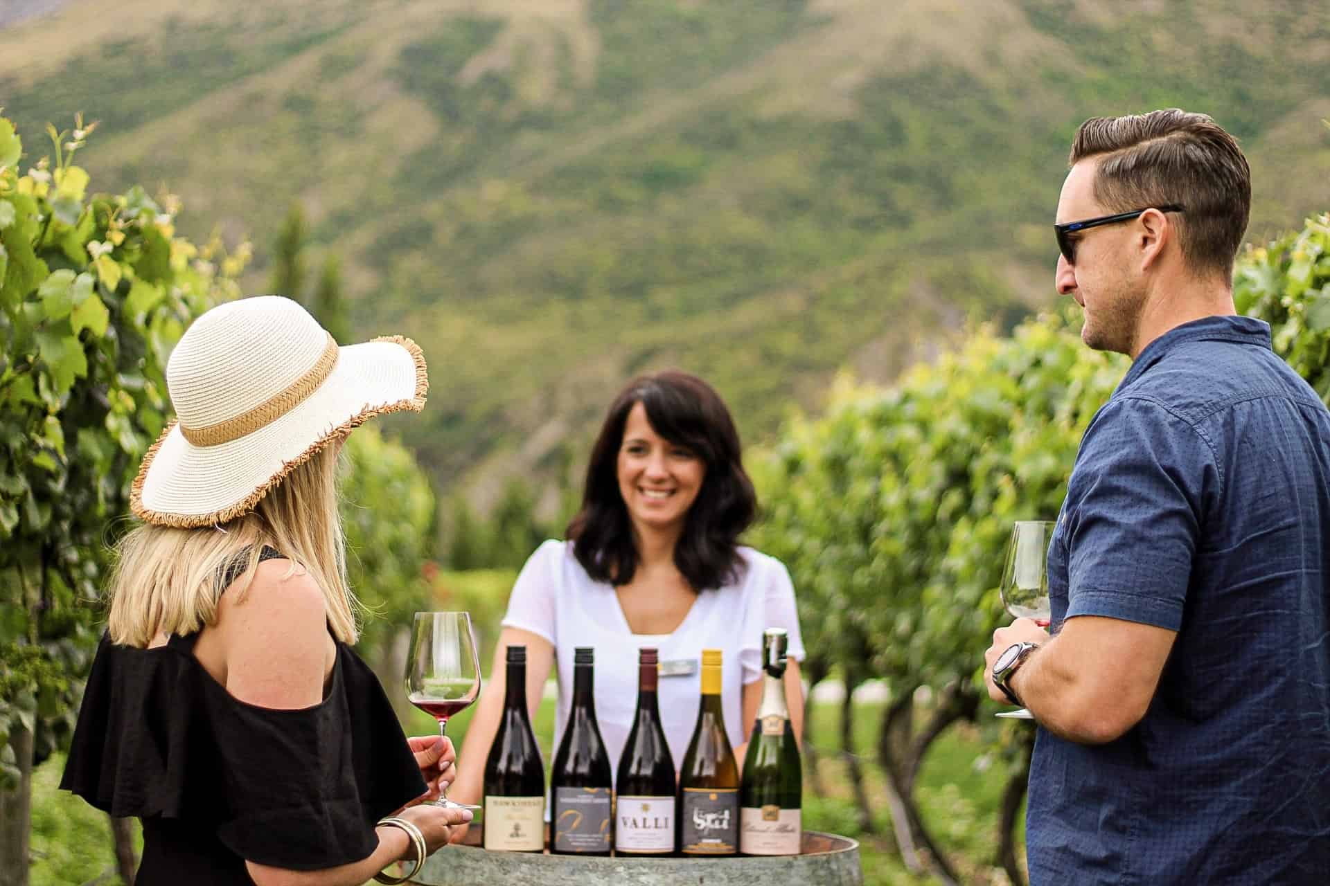 Take a Winery tour